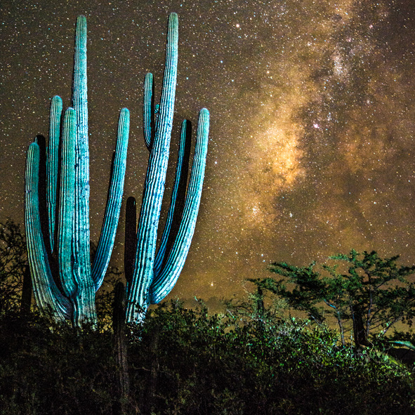 Reserva de la Biosfera Tehuacan–Cuicatlan